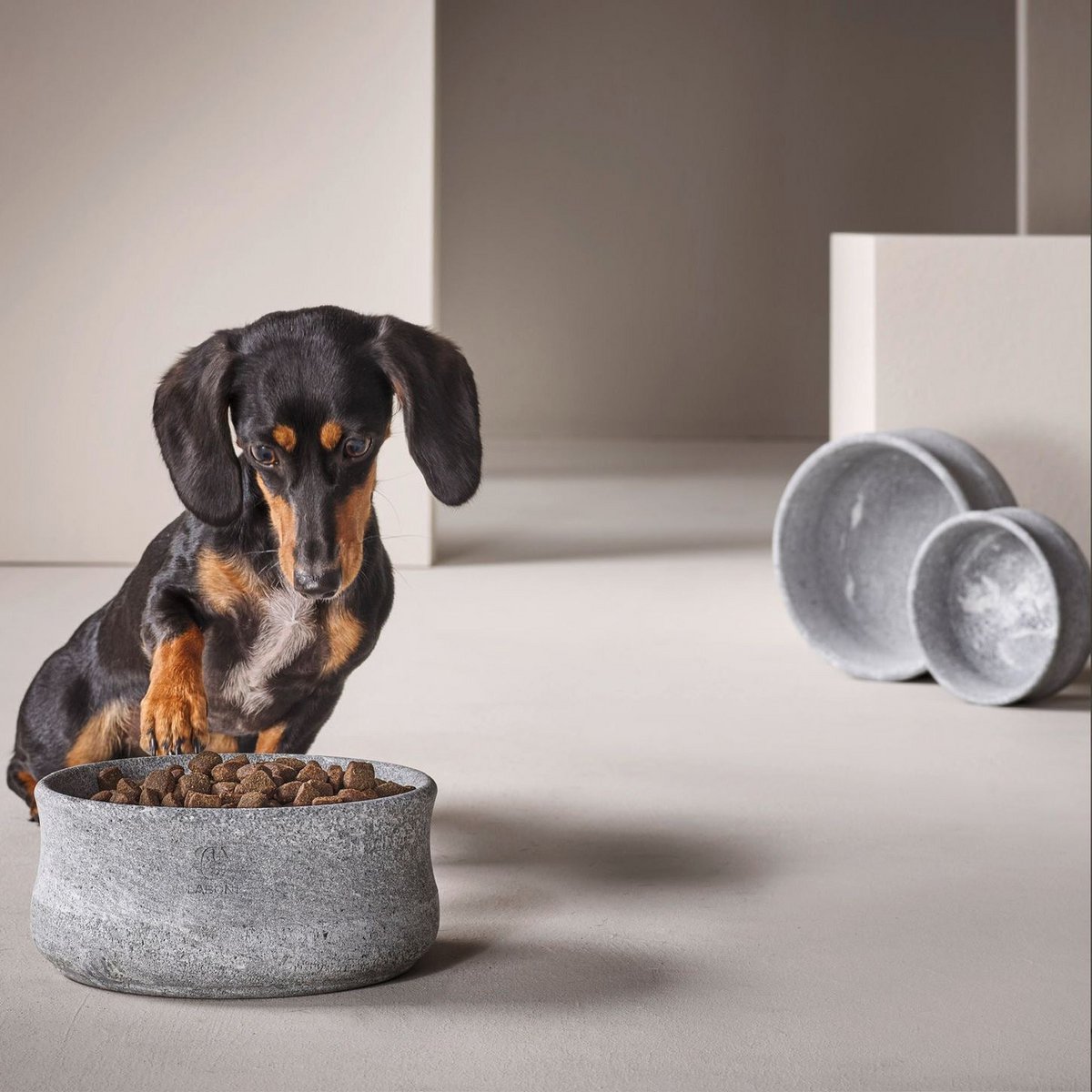 Ein Dackel sitzt vor einem gefüllten LABONI ROCKY Edel-Napf für Hunde und Katzen – Hochwertiges Design mit Funktionalität.