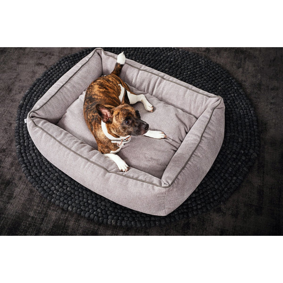 LABONI CLASSIC Hundebett - ECO GREY Ein Hund im LABONI CLASSIC Hundebett - ECO GREY, das ideal für komfortable Entspannung ist.